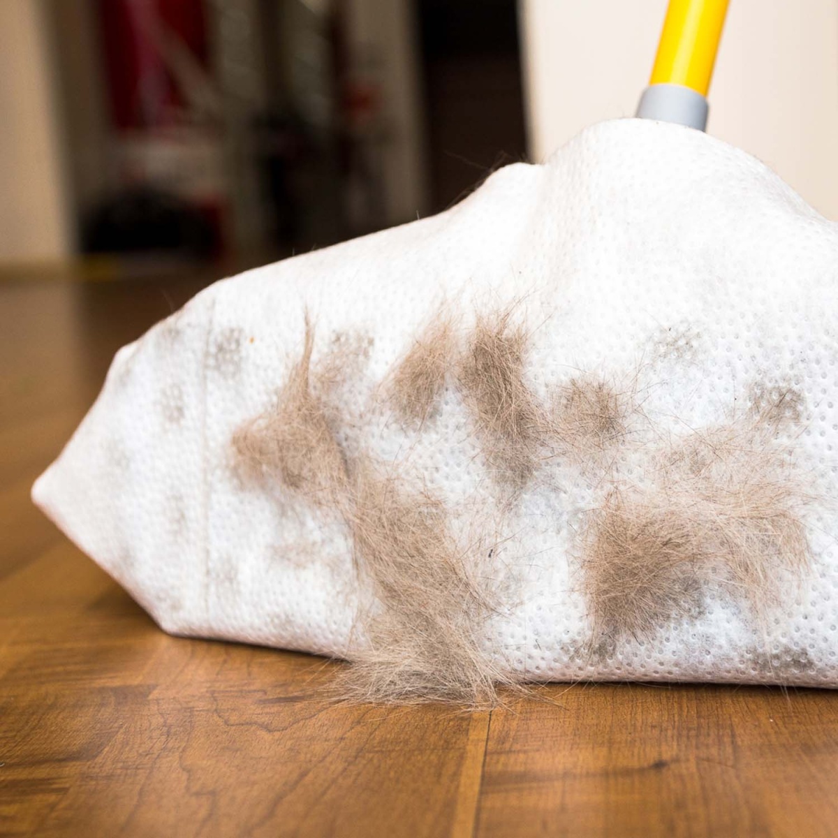 APEX  DUST CLOTH REFILLS 23x38CM - Image 2