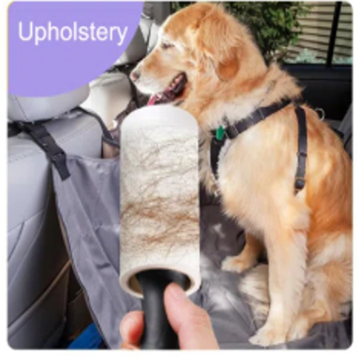 NUNBELL PET HAIRREMO.STICK  3pcs - Image 3