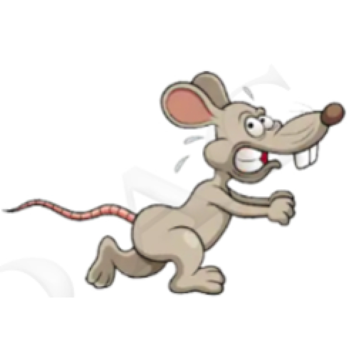 MOUSE TRAP CAGE - Image 2