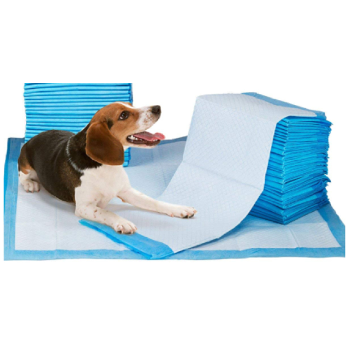 NUNBEL PET  TRAINING PADS  60*60CM - Image 2
