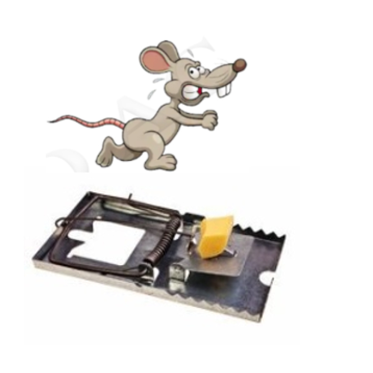 METAL MOUSE TRAP BIC - Image 2