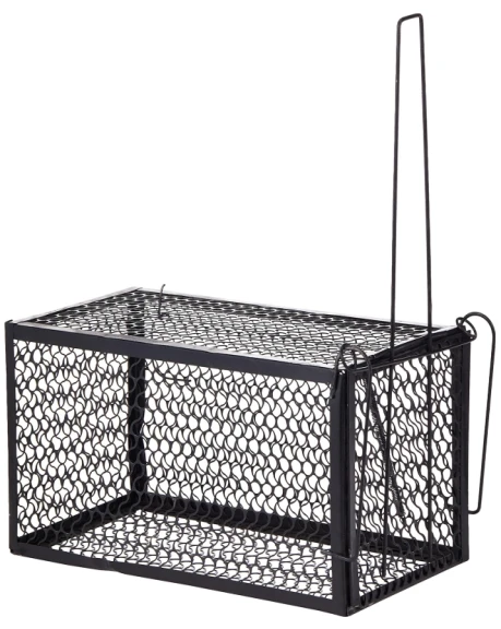 MOUSE TRAP CAGE