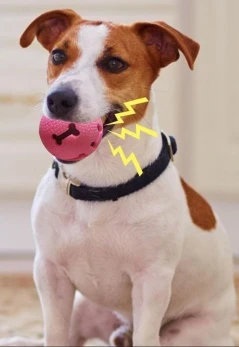 NUNBELL PET BALL FOR DOG - Image 3