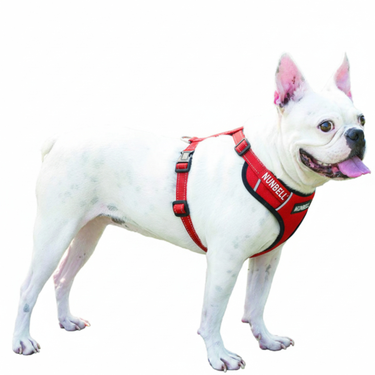 NUNBELL PET HARNESS  2,5(65-80)CM - Image 2