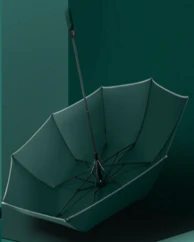 AUTO UP/DOWN UMBRELLA  70CM - Image 2